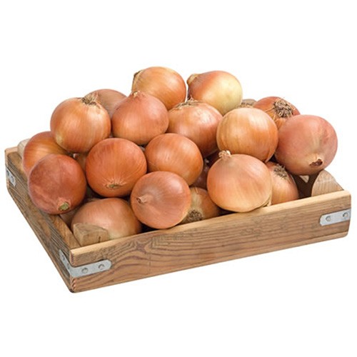 E-Ticaret Altyapısı | Güçlü ve Hazır Sistemler – SOLVES